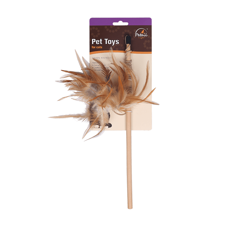 Cat feather teaser  Interactive Cat Toy 