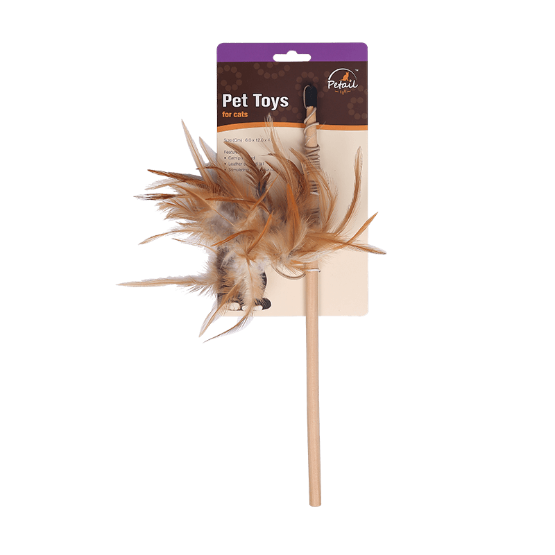Cat feather teaser  Interactive Cat Toy 