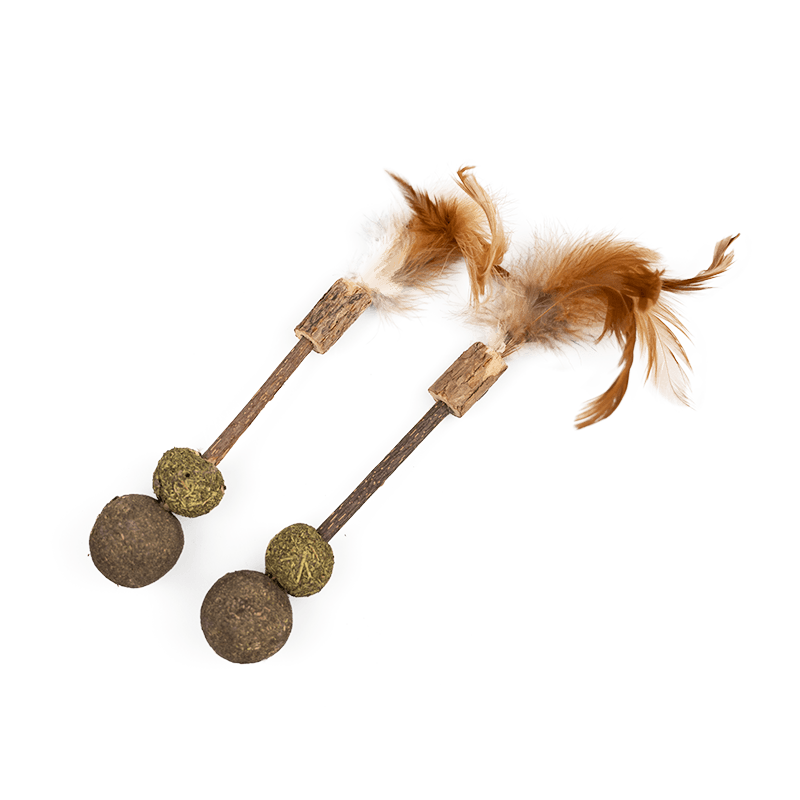 Cat Stick Catnip toy for Cat Chew and Tooth Molar 